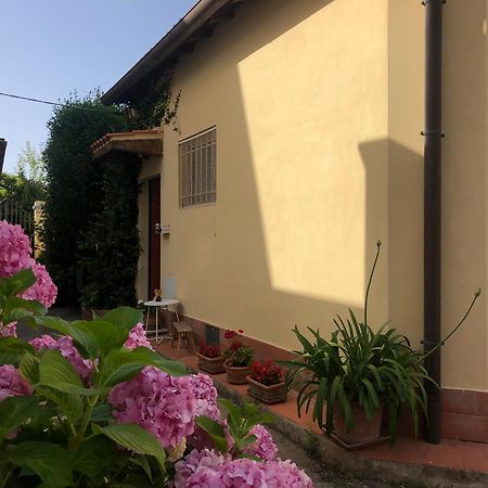 Casina Di Nina Apartment Livorno Exterior photo